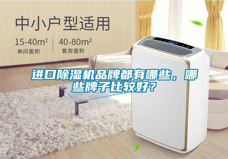 進口除濕機品牌都有哪些，哪些牌子比較好？