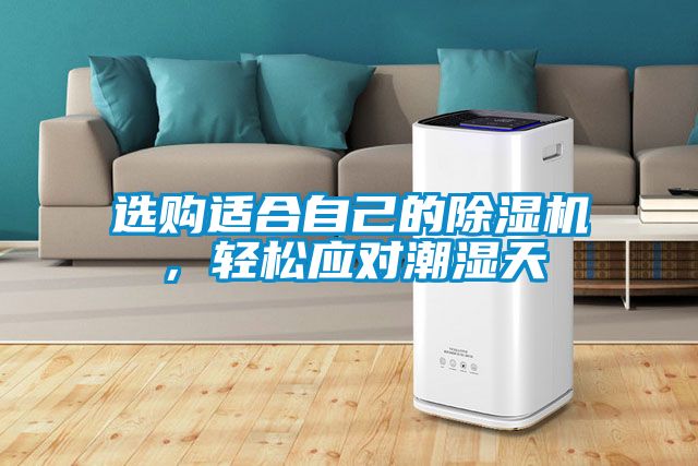 選購適合自己的除濕機，輕松應對潮濕天