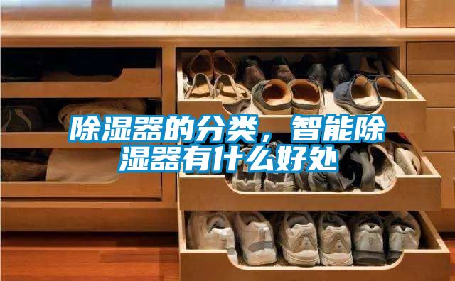除濕器的分類，智能除濕器有什么好處