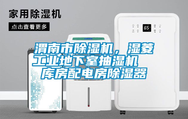 渭南市除濕機(jī),濕菱工業(yè)地下室抽濕機(jī) 庫(kù)房配電房除濕器