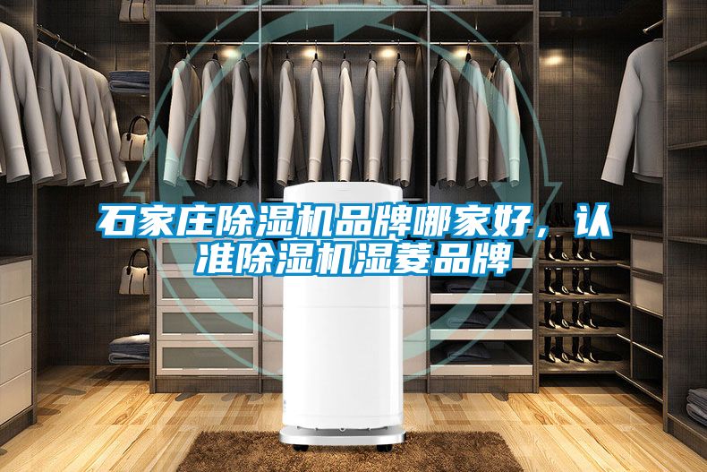 石家莊除濕機品牌哪家好,認準除濕機濕菱品牌