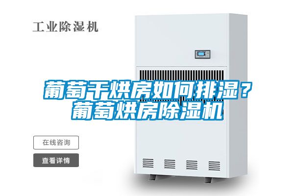 葡萄干烘房如何排濕?葡萄烘房除濕機