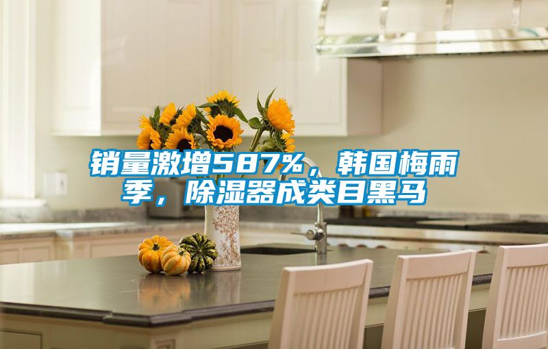 銷量激增587%,韓國梅雨季,除濕器成類目黑馬