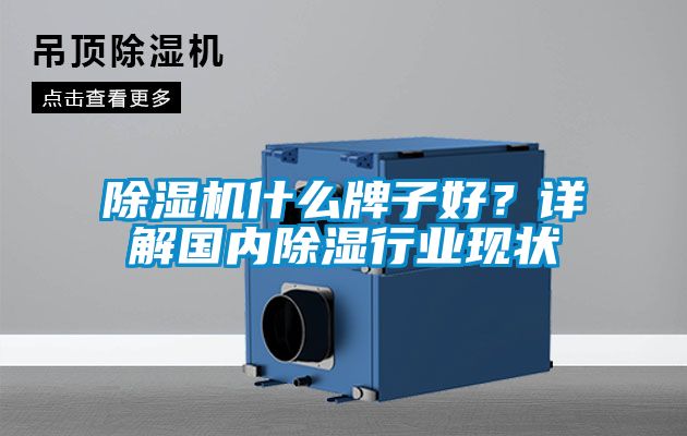 除濕機什么牌子好?詳解國內除濕行業現狀