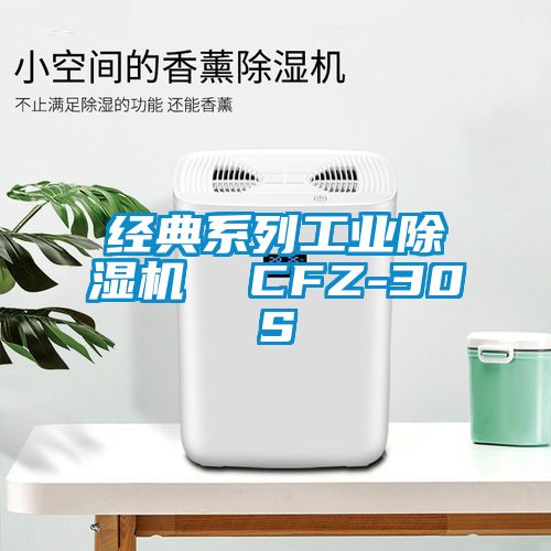 經(jīng)典系列工業(yè)除濕機 CFZ-30S