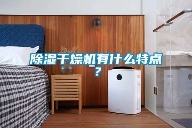 除濕干燥機(jī)有什么特點(diǎn)?