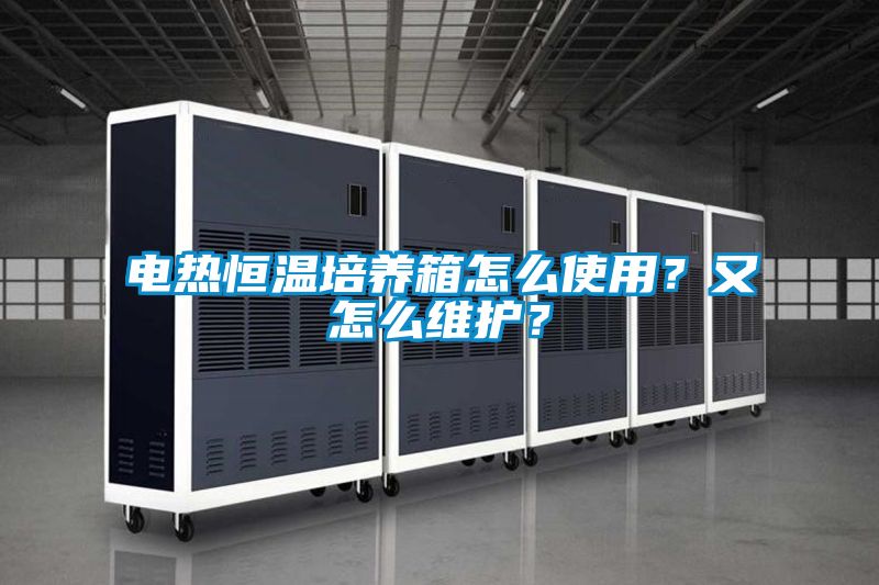 電熱恒溫培養箱怎么使用?又怎么維護?