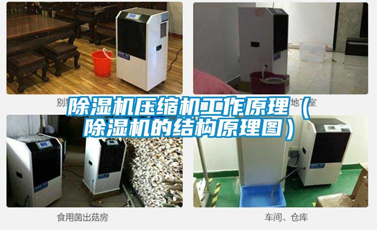 除濕機壓縮機工作原理(除濕機的結(jié)構(gòu)原理圖)