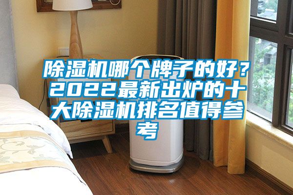 除濕機哪個牌子的好？2022最新出爐的十大除濕機排名值得參考