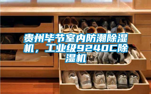貴州畢節(jié)室內(nèi)防潮除濕機，工業(yè)級9240C除濕機