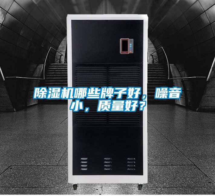除濕機(jī)哪些牌子好,噪音小,質(zhì)量好?