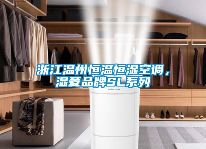 浙江溫州恒溫恒濕空調(diào),濕菱品牌SL系列