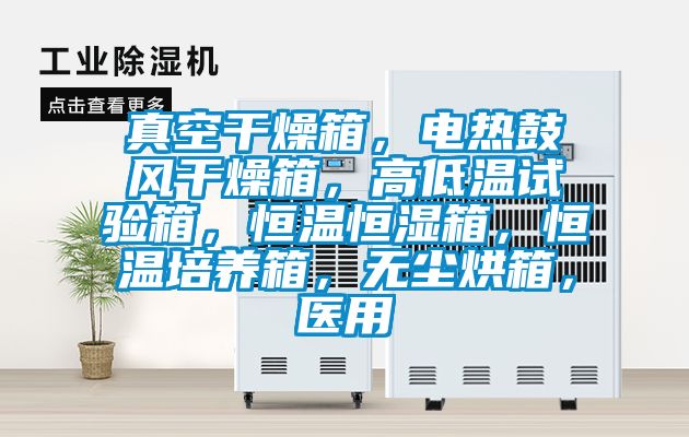 真空干燥箱，電熱鼓風干燥箱，高低溫試驗箱，恒溫恒濕箱，恒溫培養箱，無塵烘箱，醫用