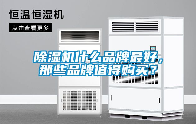 除濕機(jī)什么品牌最好，那些品牌值得購(gòu)買(mǎi)？