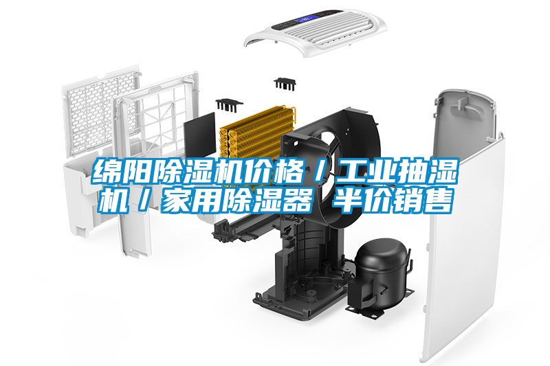 綿陽除濕機價格/工業抽濕機/家用除濕器 半價銷售