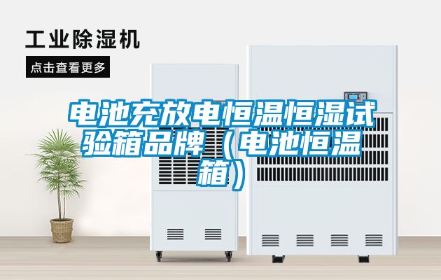 電池充放電恒溫恒濕試驗箱品牌(電池恒溫箱)