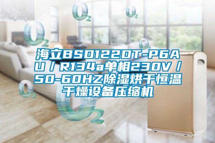 海立BSD122DT-P6AU/R134a單相230V/50-60HZ除濕烘干恒溫干燥設備壓縮機