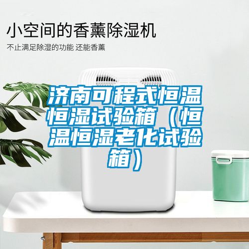 濟南可程式恒溫恒濕試驗箱(恒溫恒濕老化試驗箱)
