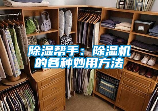 除濕幫手:除濕機的各種妙用方法