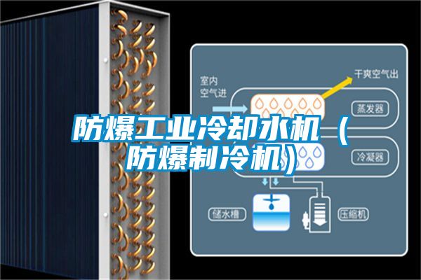 防爆工業冷卻水機(防爆制冷機)