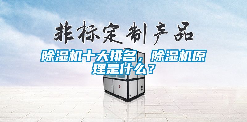 除濕機十大排名,除濕機原理是什么?