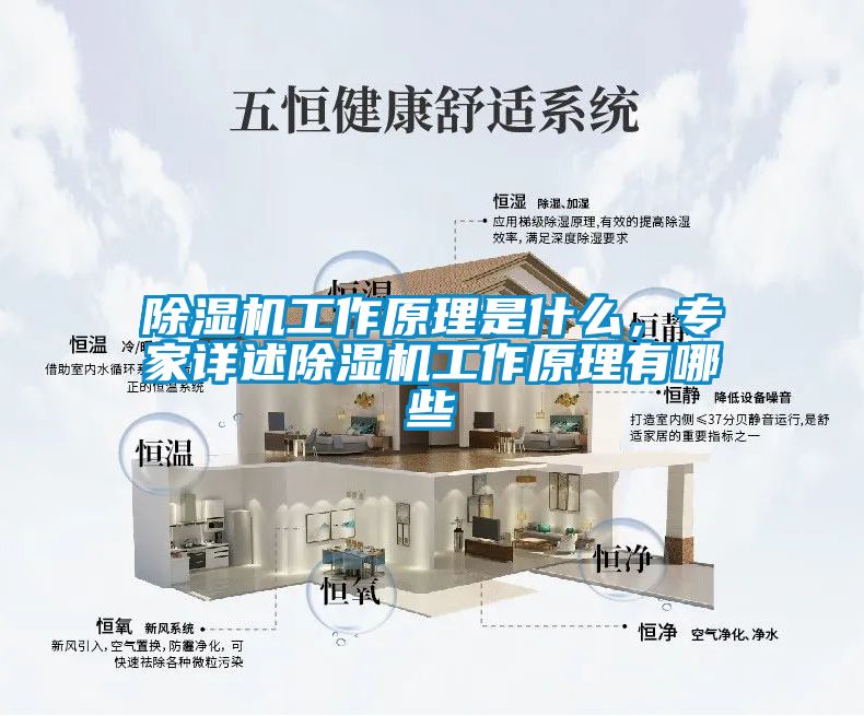 除濕機工作原理是什么,專家詳述除濕機工作原理有哪些