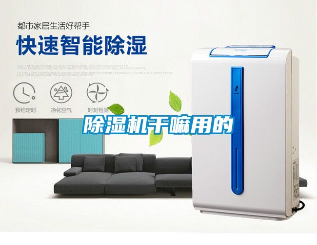 除濕機干嘛用的