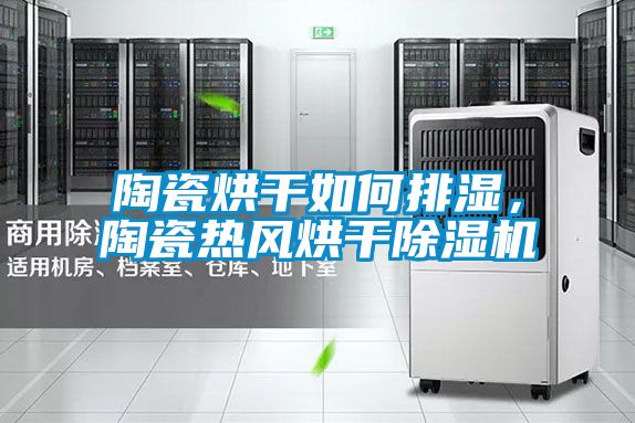 陶瓷烘干如何排濕,陶瓷熱風烘干除濕機