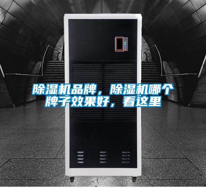 除濕機品牌，除濕機哪個牌子效果好，看這里