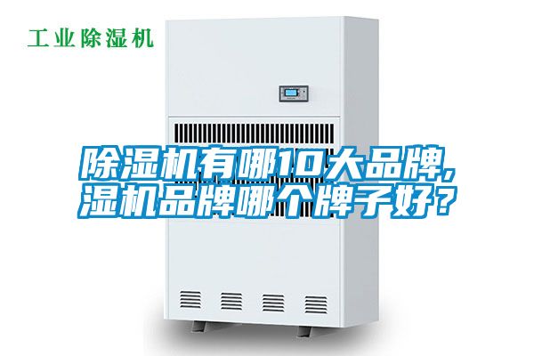 除濕機有哪10大品牌,濕機品牌哪個牌子好?