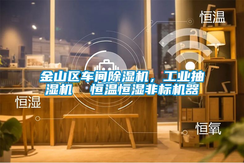金山區(qū)車間除濕機,工業(yè)抽濕機 恒溫恒濕非標機器
