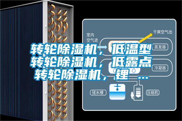 轉輪除濕機,低溫型轉輪除濕機,低露點轉輪除濕機,鋰 ...