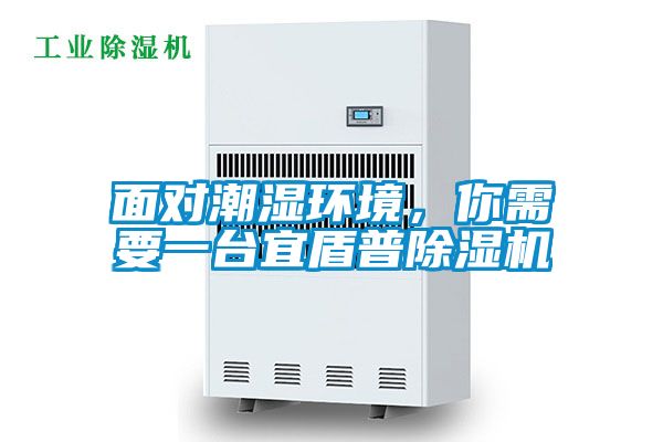 面對潮濕環境,你需要一臺宜盾普除濕機