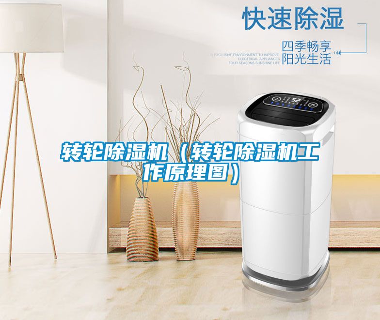 轉輪除濕機(轉輪除濕機工作原理圖)
