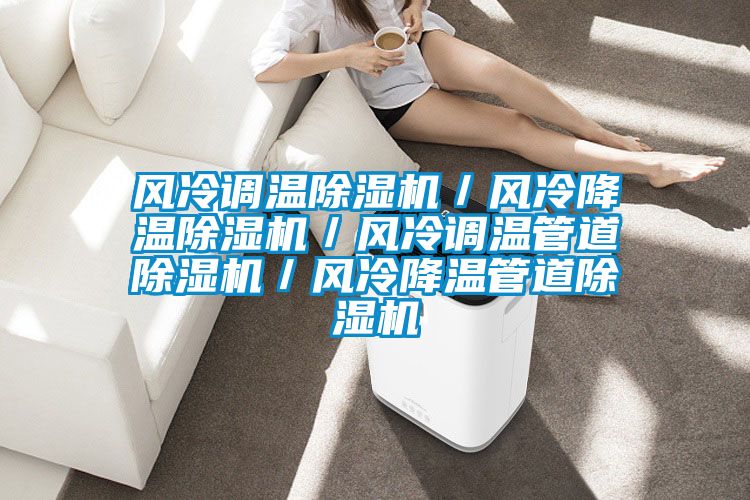 風冷調溫除濕機/風冷降溫除濕機/風冷調溫管道除濕機/風冷降溫管道除濕機