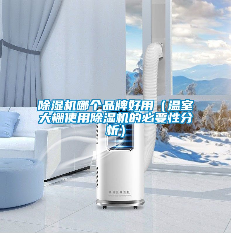 除濕機哪個品牌好用（溫室大棚使用除濕機的必要性分析）
