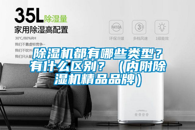 除濕機都有哪些類型？有什么區別？（內附除濕機精品品牌）