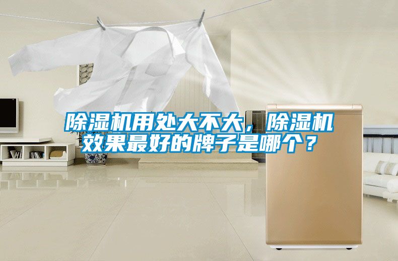 除濕機(jī)用處大不大,除濕機(jī)效果最好的牌子是哪個?