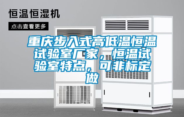 重慶步入式高低溫恒溫試驗室廠家,恒溫試驗室特點,可非標定做
