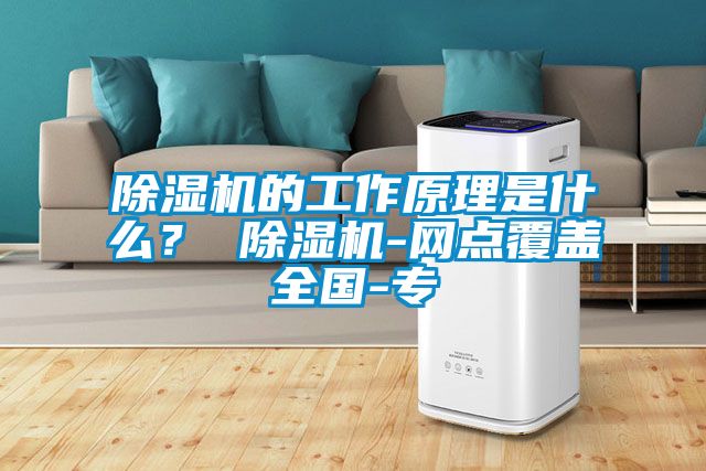 除濕機的工作原理是什么? 除濕機-網(wǎng)點覆蓋全國-專