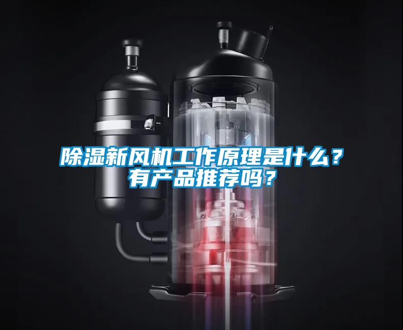 除濕新風機工作原理是什么？有產品推薦嗎？