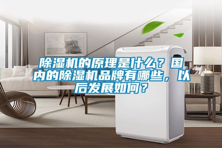 除濕機的原理是什么?國內的除濕機品牌有哪些,以后發展如何?