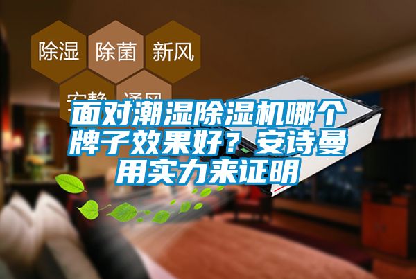 面對潮濕除濕機哪個牌子效果好?安詩曼用實力來證明
