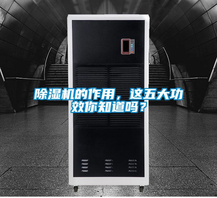 除濕機的作用，這五大功效你知道嗎？