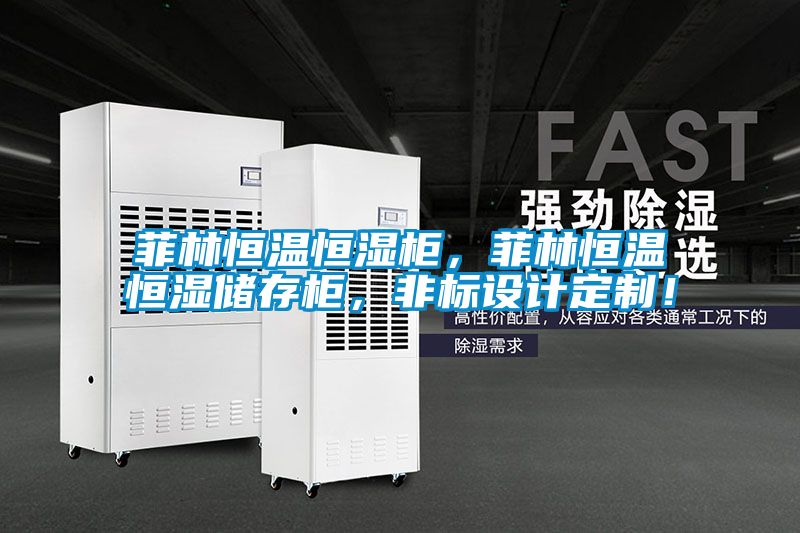 菲林恒溫恒濕柜,菲林恒溫恒濕儲存柜,非標設計定制!