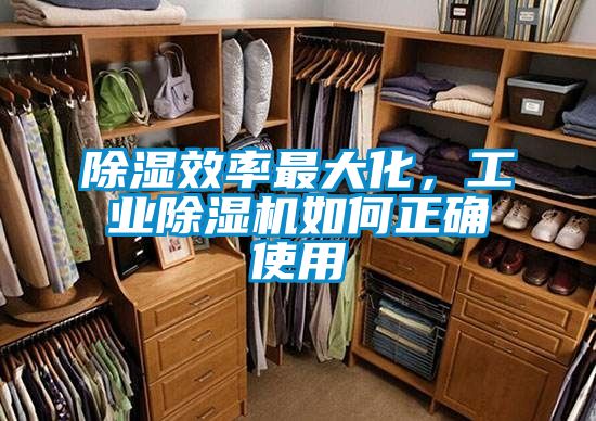 除濕效率最大化,工業除濕機如何正確使用