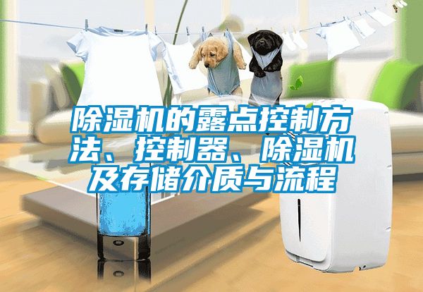 除濕機(jī)的露點控制方法、控制器、除濕機(jī)及存儲介質(zhì)與流程