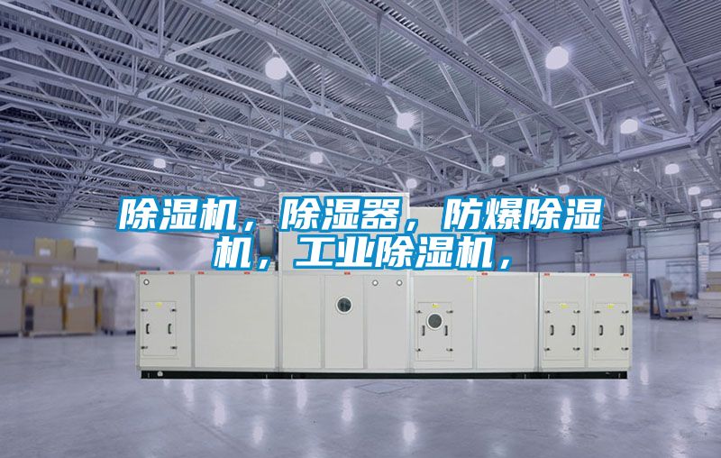 除濕機(jī),除濕器,防爆除濕機(jī),工業(yè)除濕機(jī),