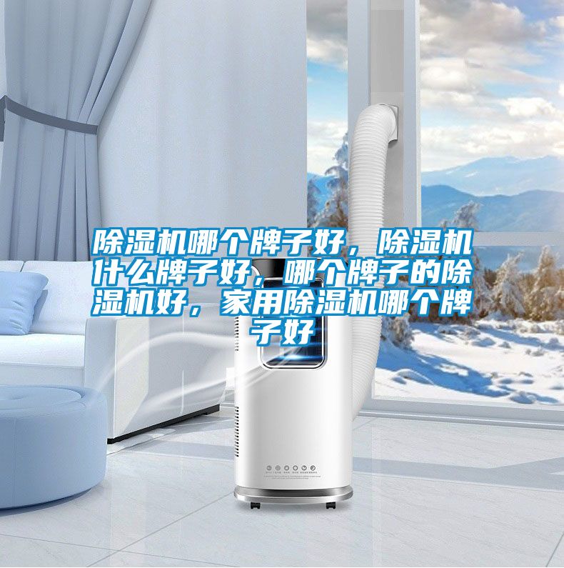 除濕機哪個牌子好，除濕機什么牌子好，哪個牌子的除濕機好，家用除濕機哪個牌子好