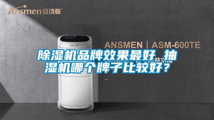 除濕機品牌效果最好 抽濕機哪個牌子比較好?